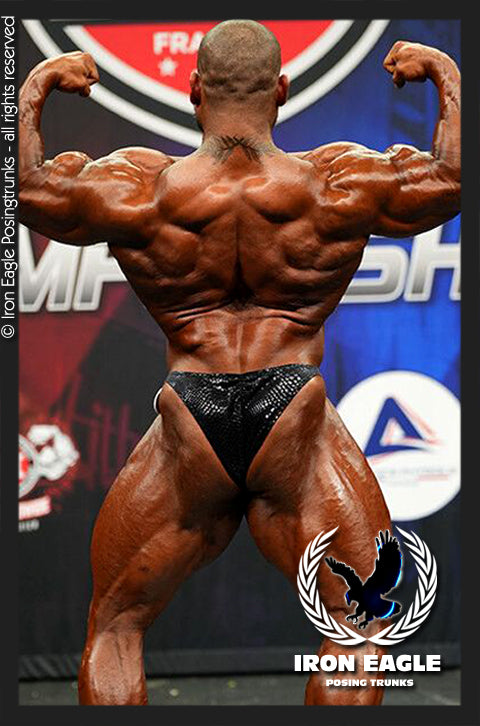 Black Snakeskin Velvet